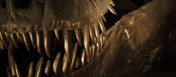 Dinosaurio (imagen referencial) - Sputnik Mundo