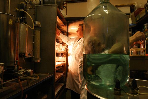 Un empleado del Instituto de Geoquímica y Química Analítica Vernadski  - Sputnik Mundo