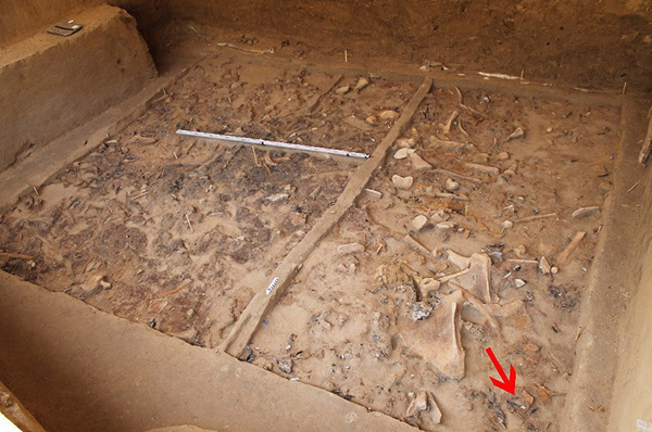 El lugar del descubrimiento de una estatuilla - Sputnik Mundo