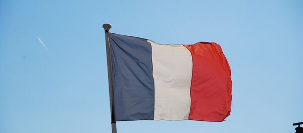 Bandera de Francia - Sputnik Mundo