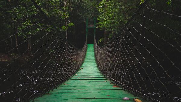 Puente (imagen referencial) - Sputnik Mundo