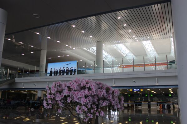 Aeropuerto Internacional de Pyongyang - Sputnik Mundo