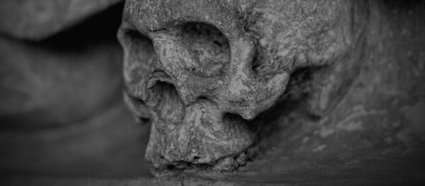 Un cráneo (archivo) - Sputnik Mundo