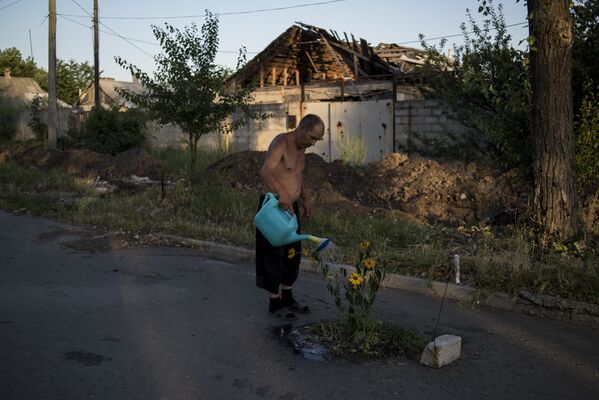 Un hombre cuida de las flores en el pueblo Vesióloye, región de Donetsk, 16 de julio de 2016 - Sputnik Mundo