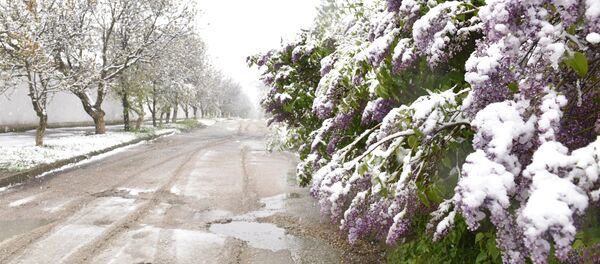 Nieve en Crimea - Sputnik Mundo