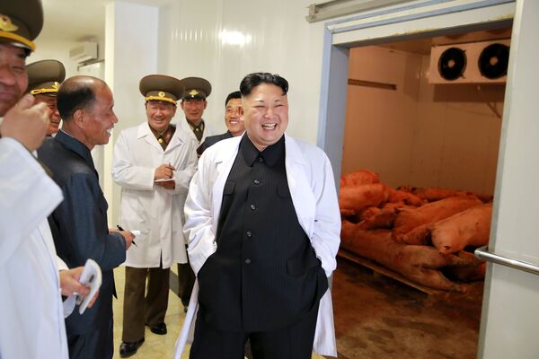 Kim Jong-un durante la visita a la granja porcina del Ejército Popular norcoreano - Sputnik Mundo