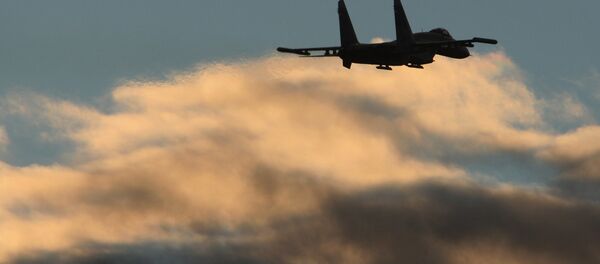 Un avión en el cielo - Sputnik Mundo
