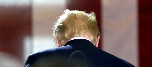 Donald Trump, presidente de EEUU - Sputnik Mundo