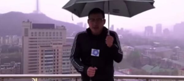 Gajes del oficio: un meteorólogo golpeado por un rayo en pleno reportaje (vídeo) - Sputnik Mundo