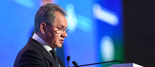 Serguéi Shoigú, ministro de Defensa ruso - Sputnik Mundo