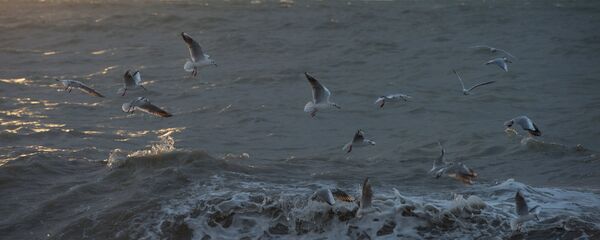 Mar Negro en Soshi, Rusia (imagen referencial) - Sputnik Mundo