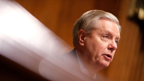 Lindsey Graham, senador estadounidense - Sputnik Mundo