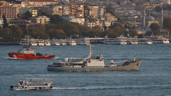 Buque ruso Liman Buque ruso Liman - Sputnik Mundo