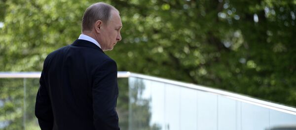 Vladímir Putin, presidente de Rusia - Sputnik Mundo