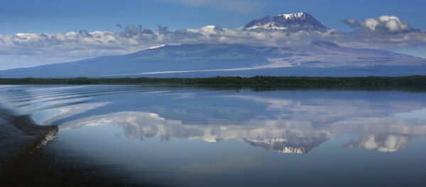 El volcán Shiveluch en la península rusa de Kamchatka - Sputnik Mundo