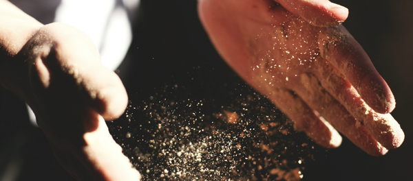 Polvo (imagen referencial) - Sputnik Mundo