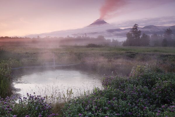 Una mirada a la reserva natural de Kamchatka a través de sus ocho volcanes - Sputnik Mundo