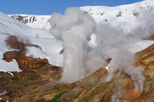 Una mirada a la reserva natural de Kamchatka a través de sus ocho volcanes - Sputnik Mundo