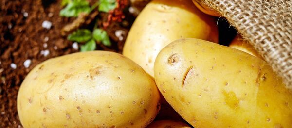 Papas - Sputnik Mundo