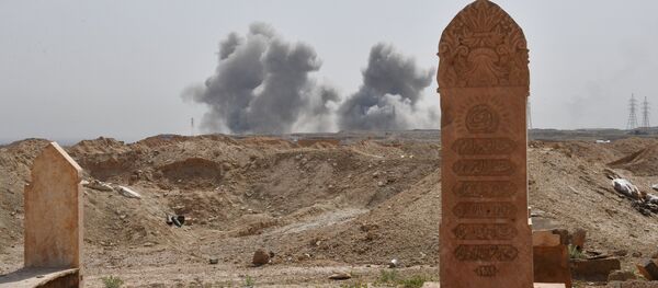 Situación en Siria - Sputnik Mundo