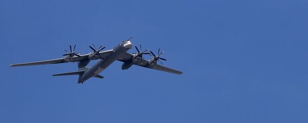 Bombarderos estratégicos Tu-95MS - Sputnik Mundo
