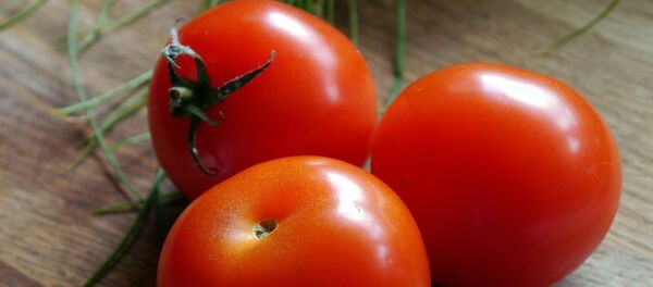 Tomates - Sputnik Mundo