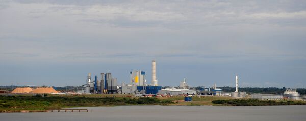 Planta de celulosa de UMP en Uruguay - Sputnik Mundo