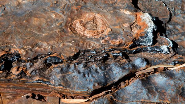 Depósitos de aguas termales en Pilbara, Australia - Sputnik Mundo