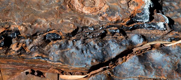 Depósitos de aguas termales en Pilbara, Australia - Sputnik Mundo