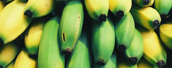 Plátanos (imagen ilustrativa) - Sputnik Mundo