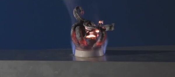 Experimento de la asombrosa 'serpiente del faraón' - Sputnik Mundo