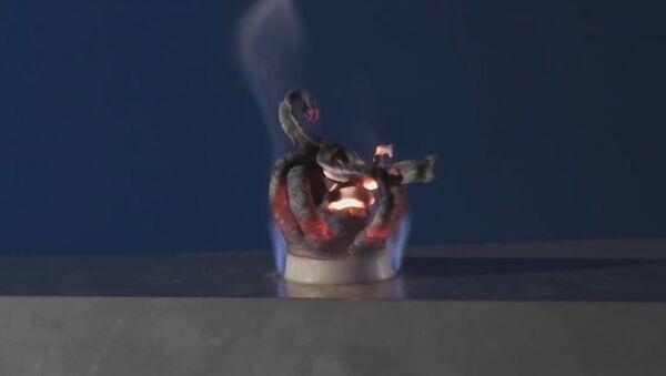 Experimento de la asombrosa 'serpiente del faraón' - Sputnik Mundo