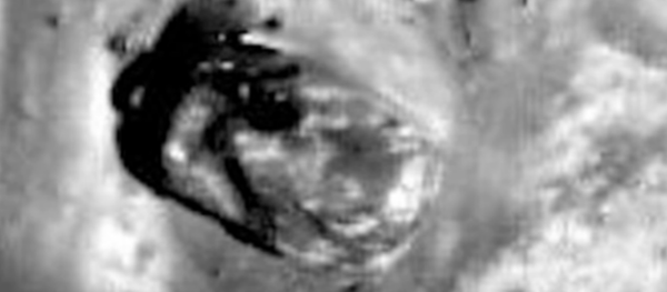 Encuentran un 'tanque extraterrestre' en la superficie de la Luna - Sputnik Mundo