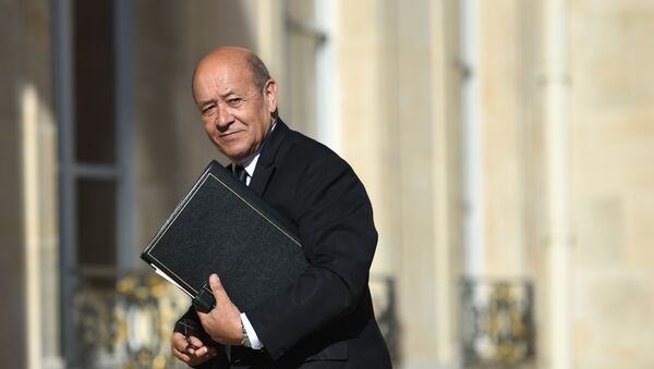 Jean-Yves Le Drian, canciller francés (archivo) - Sputnik Mundo