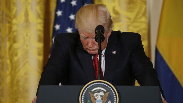 Donald Trump, presidente de EEUU - Sputnik Mundo