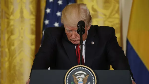 Donald Trump, presidente de EEUU - Sputnik Mundo