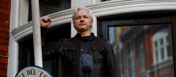 Julian Assange, fundador de Wikileaks, en la embajada de Ecuador en Londres Julian Assange, fundador de Wikileaks, en la embajada de Ecuador en Londres - Sputnik Mundo