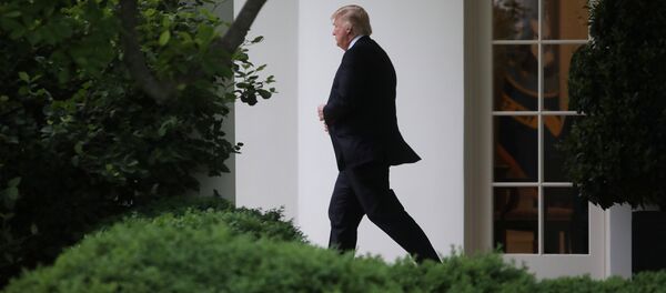 Donald Trump, presidente de EEUU - Sputnik Mundo