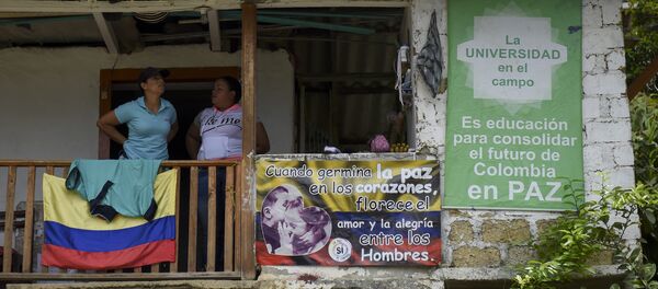 Los carteles pacifistas en Colombia - Sputnik Mundo