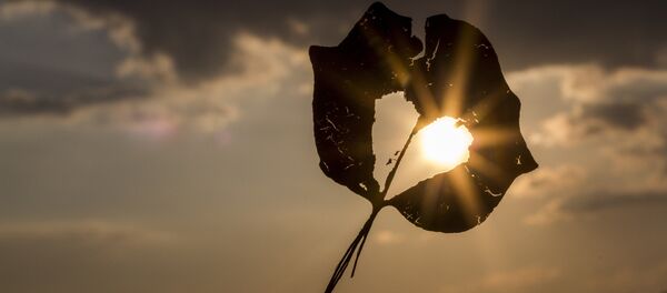 Calor - Sputnik Mundo