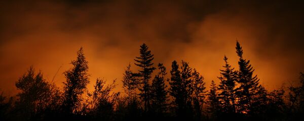 Incendio forestal en la región rusa de Krasnoyarsk (archivo) - Sputnik Mundo