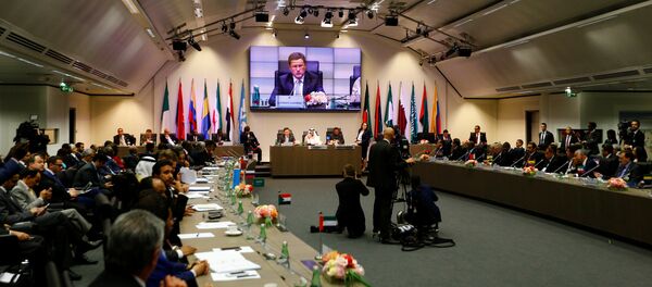 Reunión ministerial en Viena - Sputnik Mundo