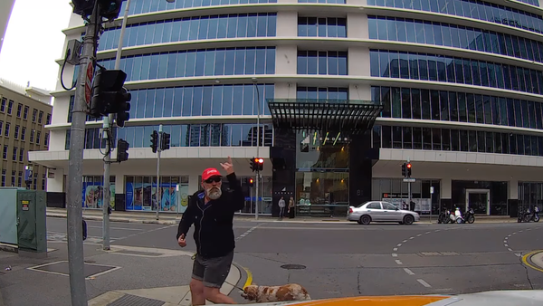 Un peatón acaba 'pagando cara' su furia - Sputnik Mundo