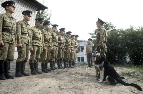 La vida de los encargados de guardar las fronteras de Rusia - Sputnik Mundo