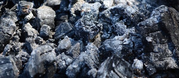 Carbón - Sputnik Mundo