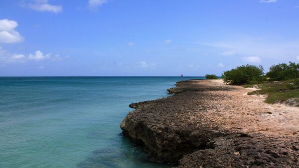 Isla Aruba - Sputnik Mundo