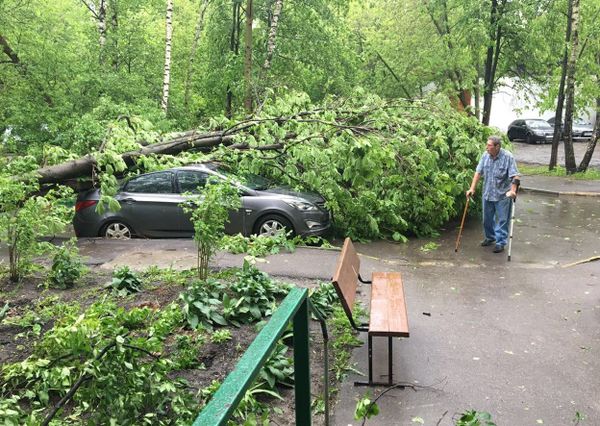 Moscú, las huellas del devastador huracán - Sputnik Mundo