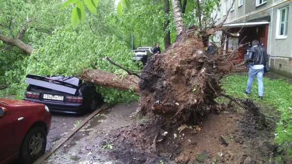 Moscú, las huellas del devastador huracán - Sputnik Mundo