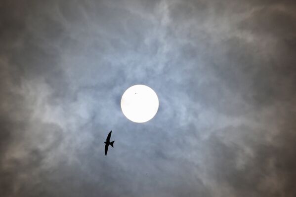 La NASA emprende el viaje hacia el Sol La NASA emprende el viaje hacia el Sol - Sputnik Mundo