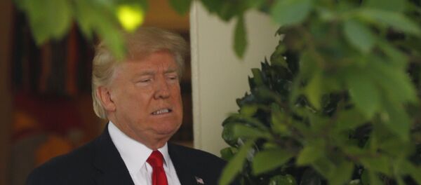 Donald Trump, presidente de EEUU - Sputnik Mundo